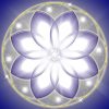 ondes de forme fleur.com ondes de forme fleur.com